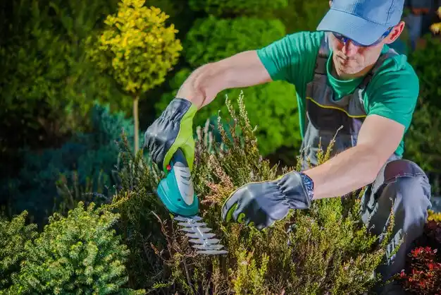 landscaping services Latimer